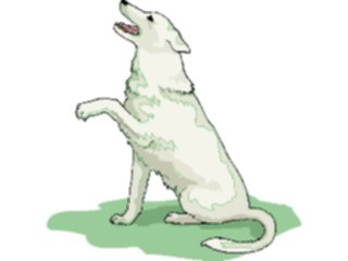 Sticker Custom Preview Image #023033 Animals Domesticated Dog133