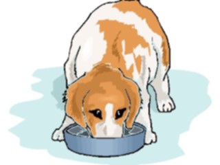 Sticker Custom Preview Image #023076 Animals Domesticated Dog Eating2