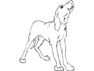 Sticker Custom Preview Image #023106 Animals Domesticated Dog Hound