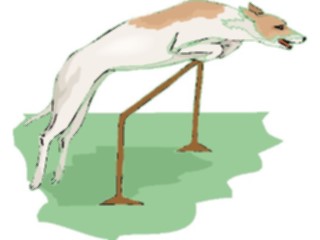 Sticker Custom Preview Image #023109 Animals Domesticated Dog Leaping2