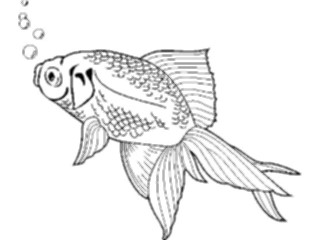 Sticker Custom Preview Image #023149 Animals Domesticated Goldfish2