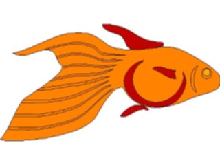 Sticker Custom Preview Image #023151 Animals Domesticated Goldfish4