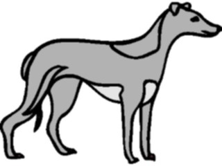 Sticker Custom Preview Image #023152 Animals Domesticated Grayhound