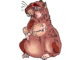 Sticker Custom Preview Image #023154 Animals Domesticated Hamster