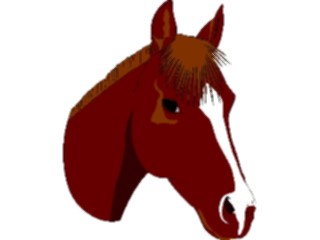 Sticker Custom Preview Image #023162 Animals Domesticated Horse06