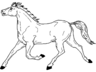 Sticker Custom Preview Image #023165 Animals Domesticated Horse09