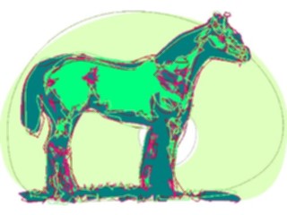 Sticker Custom Preview Image #023167 Animals Domesticated Horse11