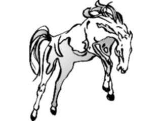 Sticker Custom Preview Image #023176 Animals Domesticated Horse20