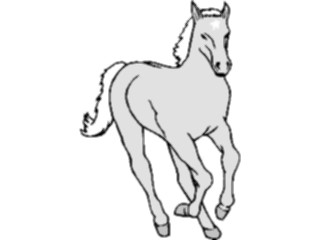 Sticker Custom Preview Image #023177 Animals Domesticated Horse21