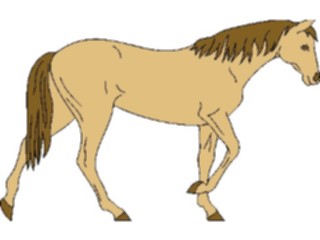 Sticker Custom Preview Image #023179 Animals Domesticated Horse23