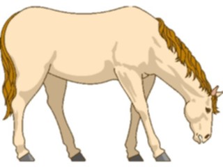 Sticker Custom Preview Image #023180 Animals Domesticated Horse24