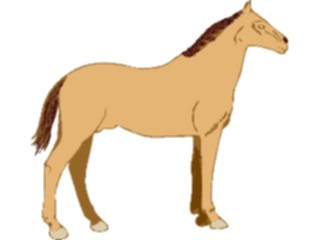 Sticker Custom Preview Image #023183 Animals Domesticated Horse27