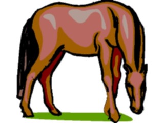 Sticker Custom Preview Image #023190 Animals Domesticated Horse34