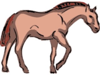 Sticker Custom Preview Image #023191 Animals Domesticated Horse35