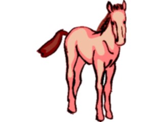 Sticker Custom Preview Image #023193 Animals Domesticated Horse37