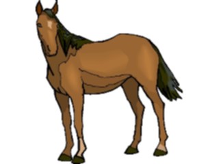 Sticker Custom Preview Image #023197 Animals Domesticated Horse41