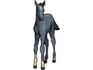 Sticker Custom Preview Image #023198 Animals Domesticated Horse42