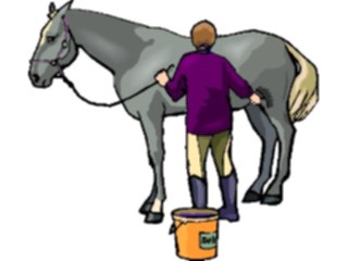 Sticker Custom Preview Image #023199 Animals Domesticated Horse43