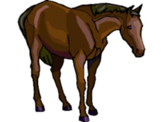 Sticker Custom Preview Image #023202 Animals Domesticated Horse46