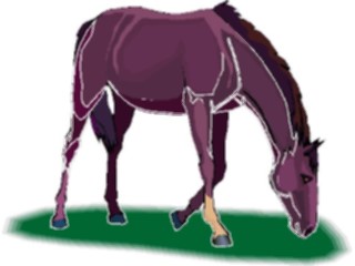 Sticker Custom Preview Image #023204 Animals Domesticated Horse48