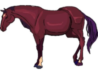 Sticker Custom Preview Image #023205 Animals Domesticated Horse49