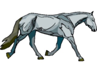 Sticker Custom Preview Image #023208 Animals Domesticated Horse52