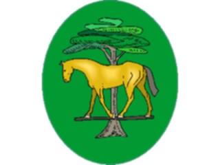 Sticker Custom Preview Image #023209 Animals Domesticated Horse53