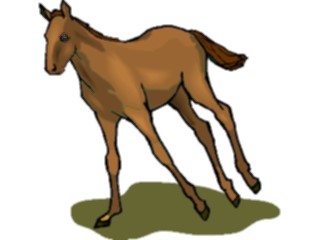 Sticker Custom Preview Image #023210 Animals Domesticated Horse54
