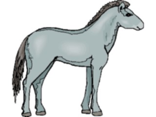 Sticker Custom Preview Image #023212 Animals Domesticated Horse56