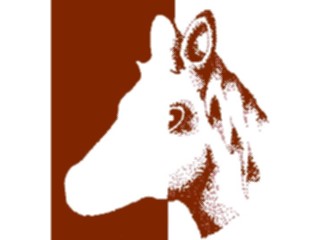 Sticker Custom Preview Image #023223 Animals Domesticated Horse Cutout