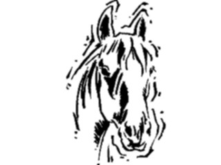 Sticker Custom Preview Image #023224 Animals Domesticated Horse Face