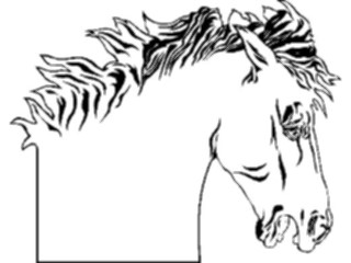 Sticker Custom Preview Image #023225 Animals Domesticated Horse Frame