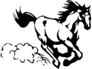 Sticker Custom Preview Image #023226 Animals Domesticated Horse Galloping1