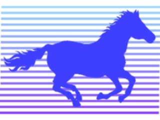 Sticker Custom Preview Image #023230 Animals Domesticated Horse Graphic