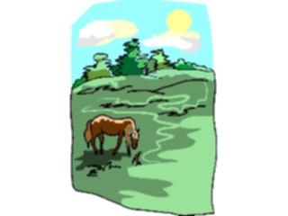 Sticker Custom Preview Image #023231 Animals Domesticated Horse Grazing