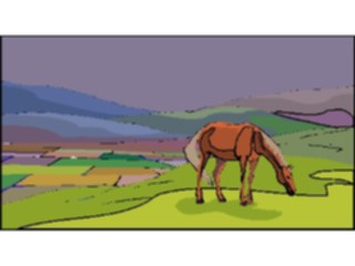 Sticker Custom Preview Image #023232 Animals Domesticated Horse Grazing1