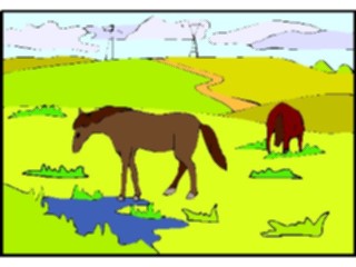 Sticker Custom Preview Image #023248 Animals Domesticated Horses3