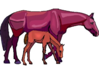 Sticker Custom Preview Image #023249 Animals Domesticated Horses4