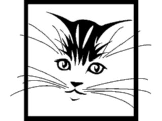 Sticker Custom Preview Image #023257 Animals Domesticated Kitten1