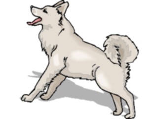Sticker Custom Preview Image #023263 Animals Domesticated Malamute