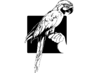 Sticker Custom Preview Image #023264 Animals Domesticated Parrot