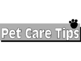 Sticker Custom Preview Image #023266 Animals Domesticated Pet Care Tips
