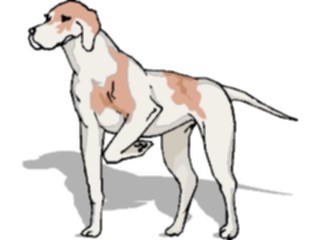 Sticker Custom Preview Image #023271 Animals Domesticated Pointer4