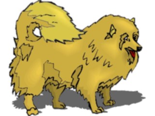 Sticker Custom Preview Image #023273 Animals Domesticated Pomeranian