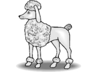 Sticker Custom Preview Image #023278 Animals Domesticated Poodle2