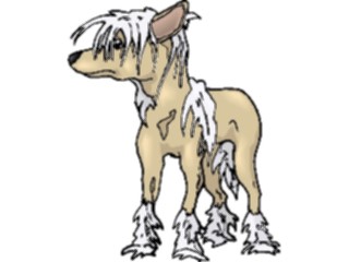 Sticker Custom Preview Image #023279 Animals Domesticated Poodle Shaved