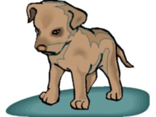 Sticker Custom Preview Image #023287 Animals Domesticated Puppy5