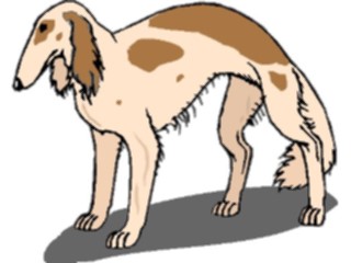 Sticker Custom Preview Image #023297 Animals Domesticated Saluki