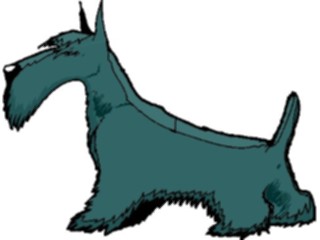 Sticker Custom Preview Image #023298 Animals Domesticated Schnauzer1