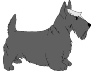 Sticker Custom Preview Image #023300 Animals Domesticated Scottie1